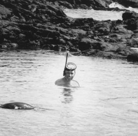 David Perlman in the Galapagos, 1964