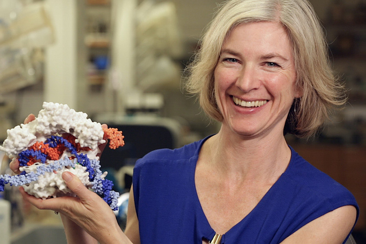 Jennifer Doudna holds a 3D-printed model of the enzyme and RNA fragment that make up CRISPR-Cas9.